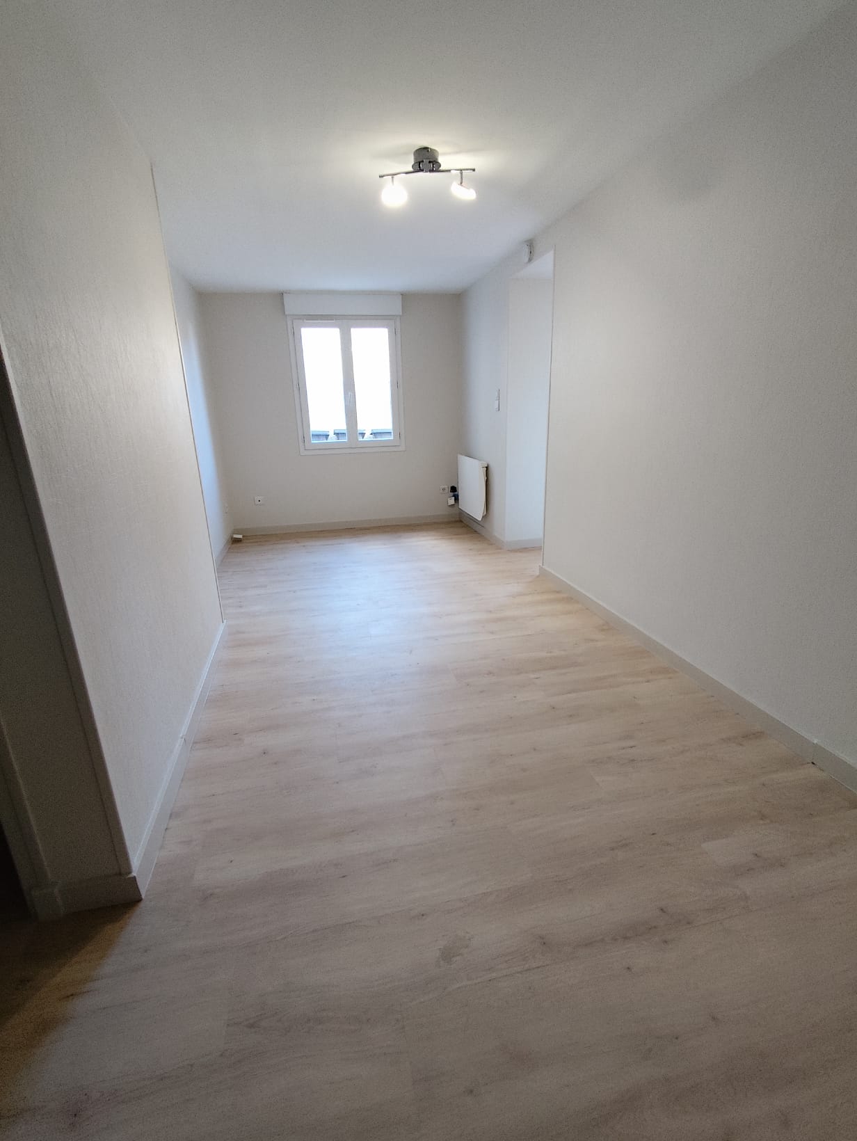 WhatsApp Image 2026-03-26 at 11.39.05