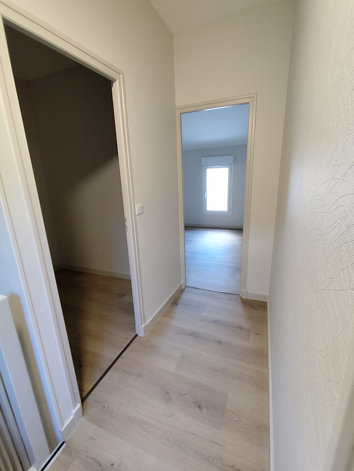 WhatsApp Image 2026-03-26 at 11.39.06